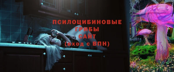 МДПВ Верея