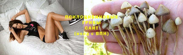 МДПВ Верея