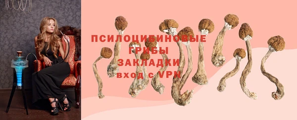 МДПВ Верея