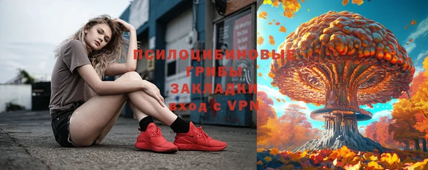 МДПВ Верея