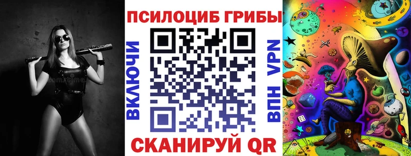 где купить   Курган  мега как зайти  Галлюциногенные грибы GOLDEN TEACHER 